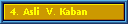 4. Asli  V. Kaban