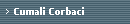 Cumali Corbaci