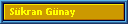 S�kran G�nay