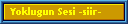Yoklugun Sesi -siir-